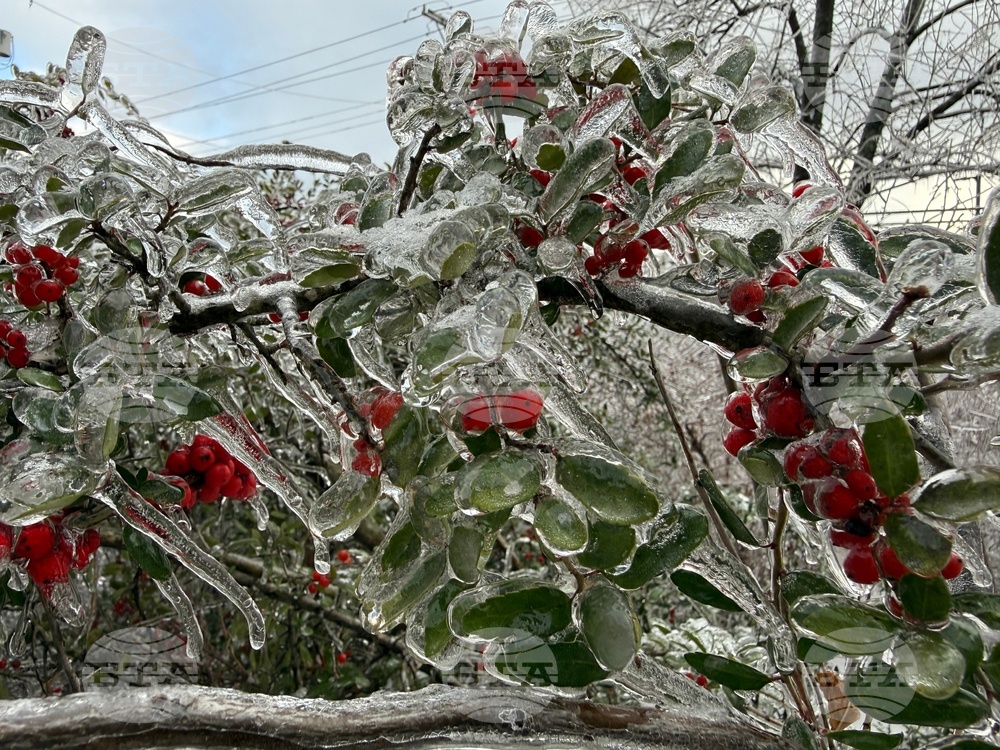 Winter Weather Tennessee