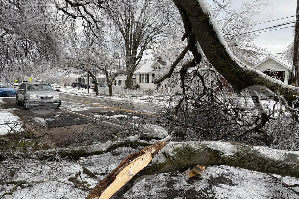 Winter Weather Tennessee
