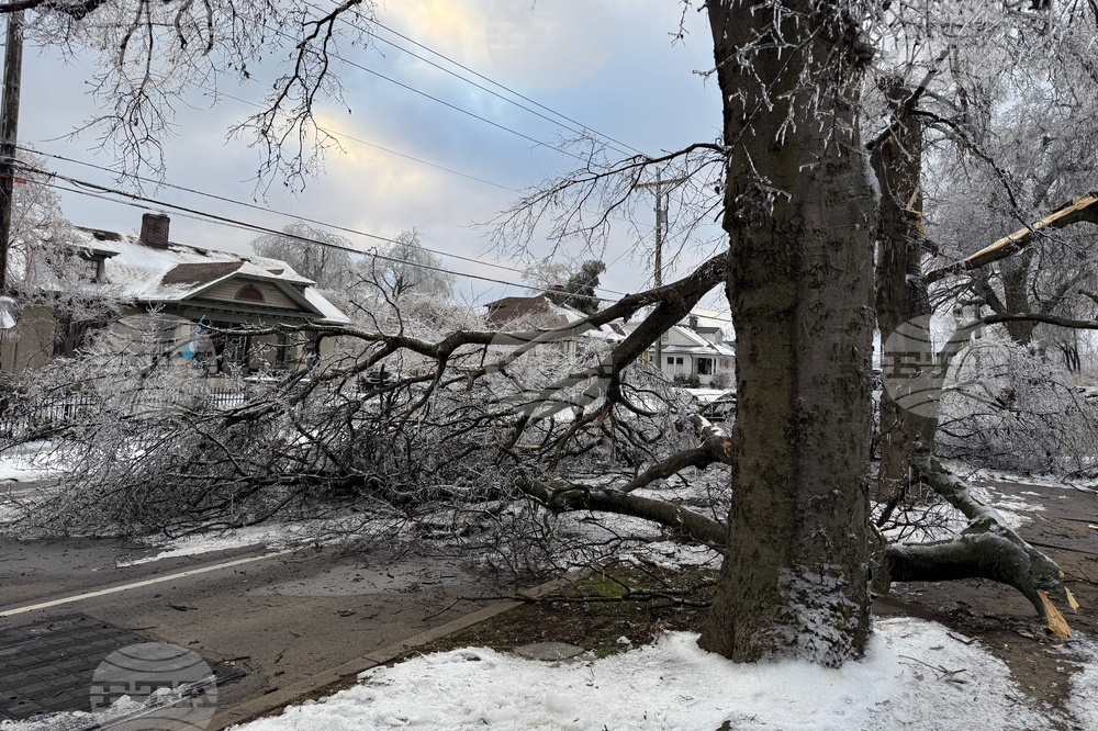 Winter Weather Tennessee