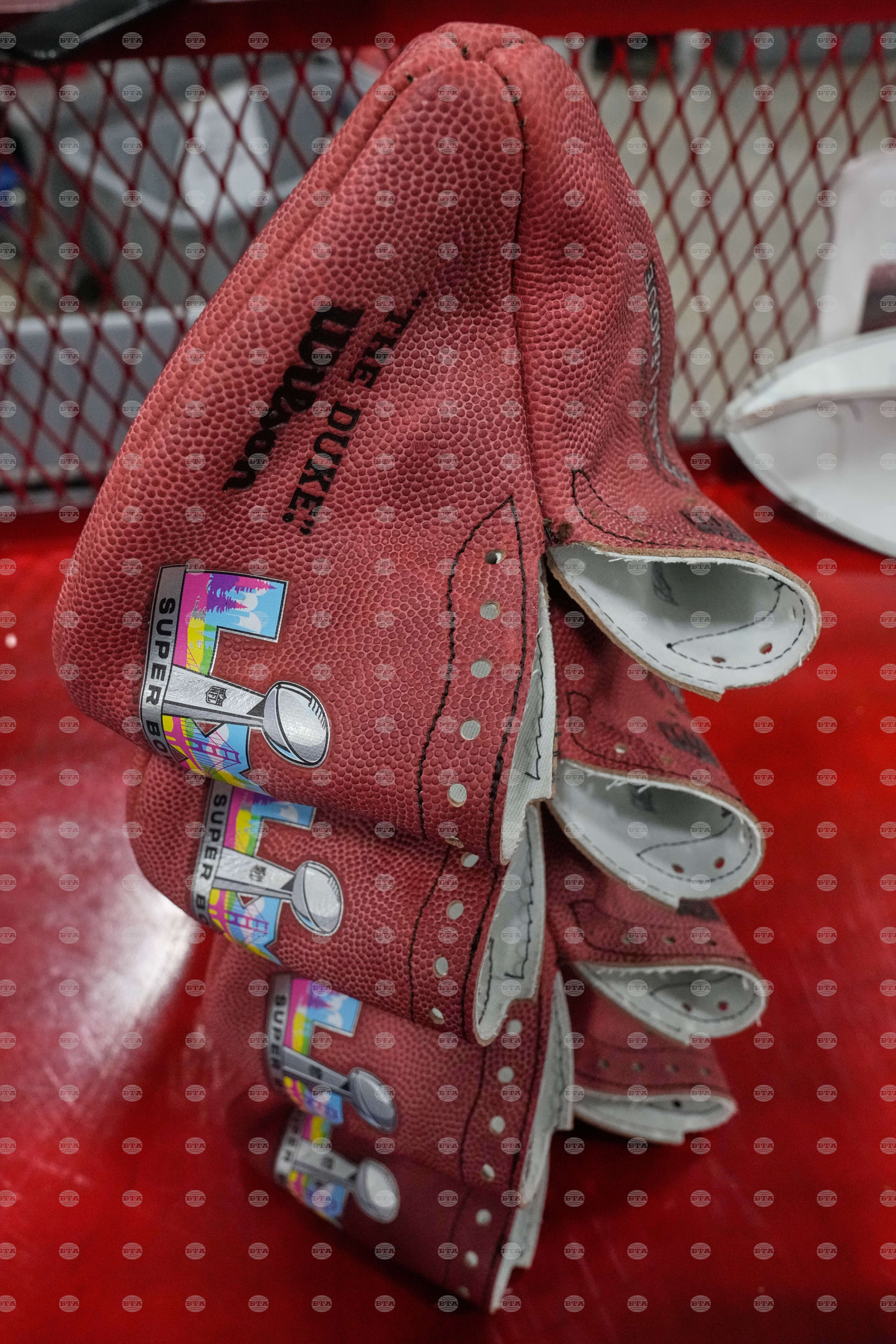 Super Bowl Logo Footballs