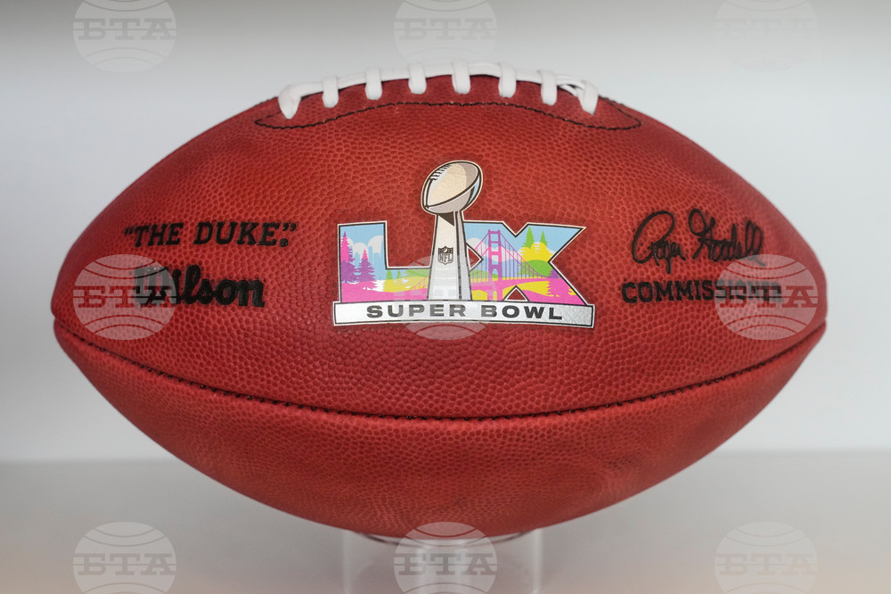 Super Bowl Logo Footballs