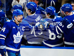 Sabres Maple Leafs Hockey