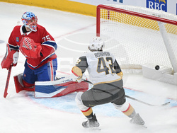 NHL Knights Canadiens Hockey