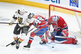 Knights Canadiens Hockey