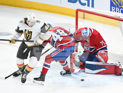 Knights Canadiens Hockey