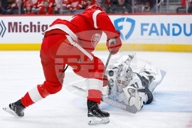 Kings Red Wings Hockey