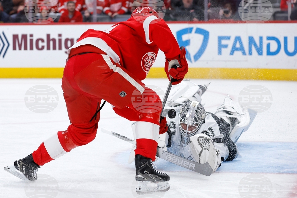 Kings Red Wings Hockey