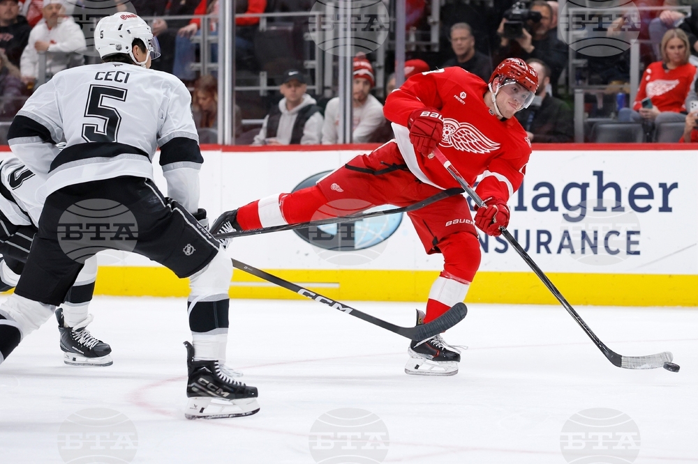Kings Red Wings Hockey