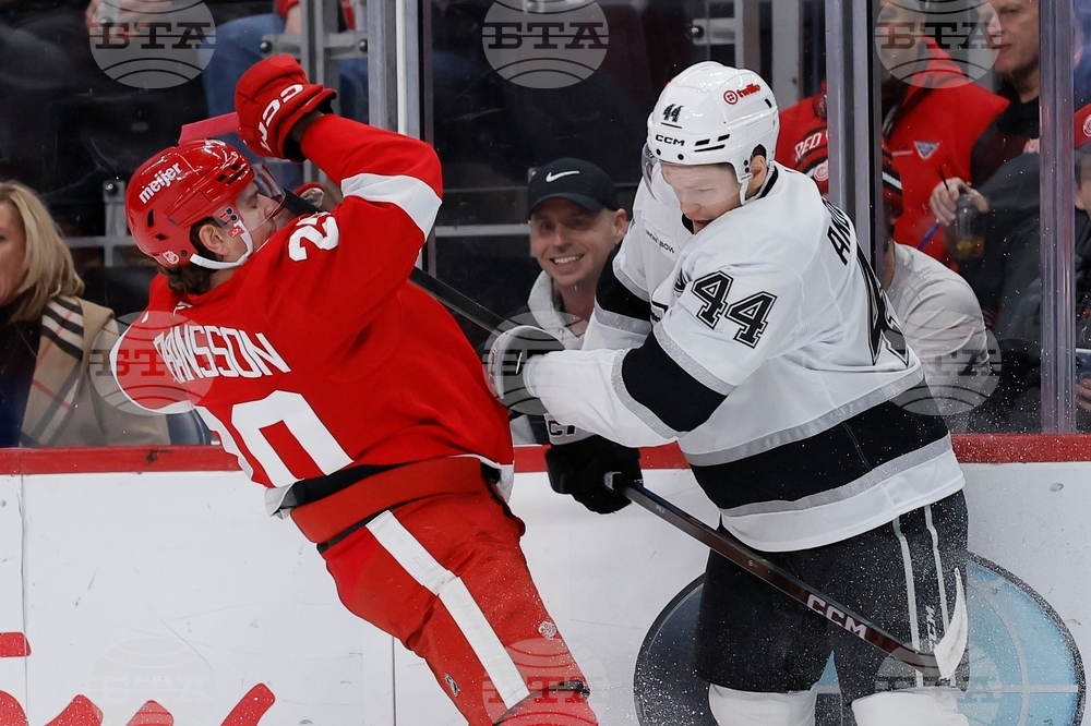 Kings Red Wings Hockey