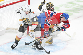 NHL Knights Canadiens Hockey