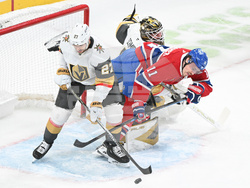 NHL Knights Canadiens Hockey