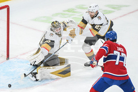 NHL Knights Canadiens Hockey