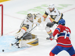 NHL Knights Canadiens Hockey