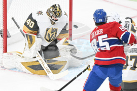 NHL Knights Canadiens Hockey