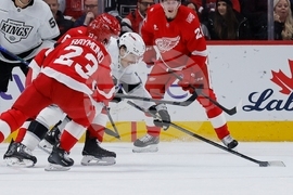 Kings Red Wings Hockey