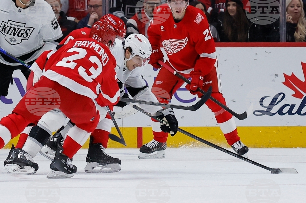 Kings Red Wings Hockey