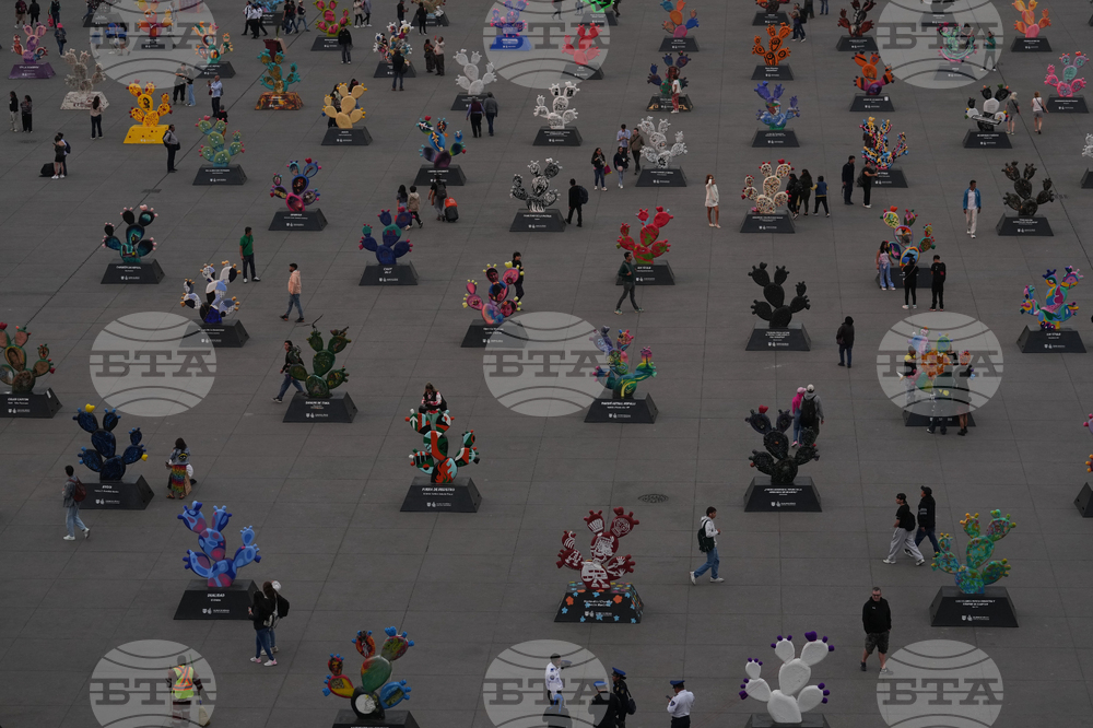 APTOPIX Mexico Nopales