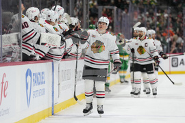 Blackhawks Wild Hockey