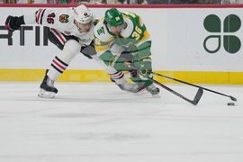 Blackhawks Wild Hockey