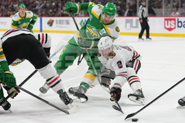 Blackhawks Wild Hockey
