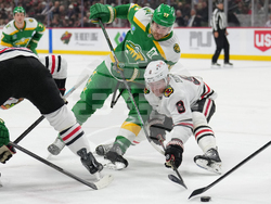 Blackhawks Wild Hockey