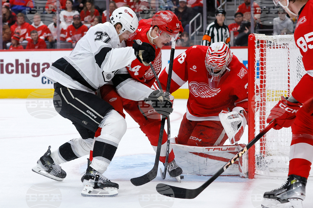 Kings Red Wings Hockey