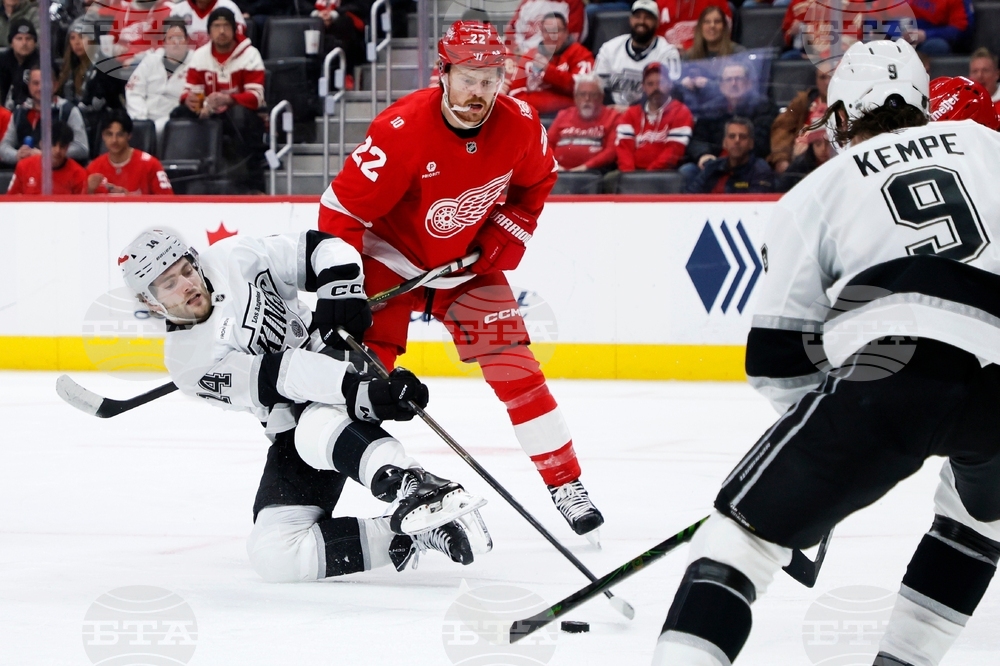 Kings Red Wings Hockey