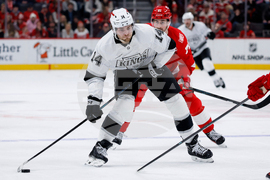Kings Red Wings Hockey