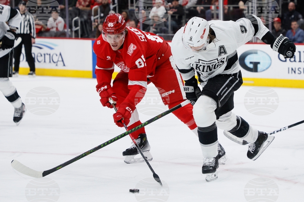 Kings Red Wings Hockey