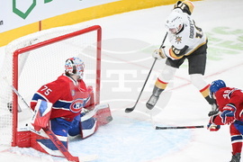 NHL Knights Canadiens Hockey
