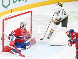 NHL Knights Canadiens Hockey