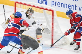 NHL Knights Canadiens Hockey