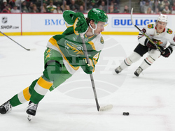 Blackhawks Wild Hockey