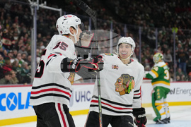 Blackhawks Wild Hockey