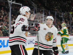 Blackhawks Wild Hockey