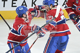 Golden Knights Canadiens Hockey