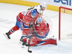 Golden Knights Canadiens Hockey