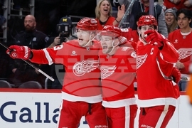 Kings Red Wings Hockey