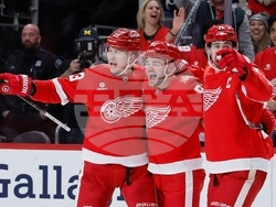 Kings Red Wings Hockey