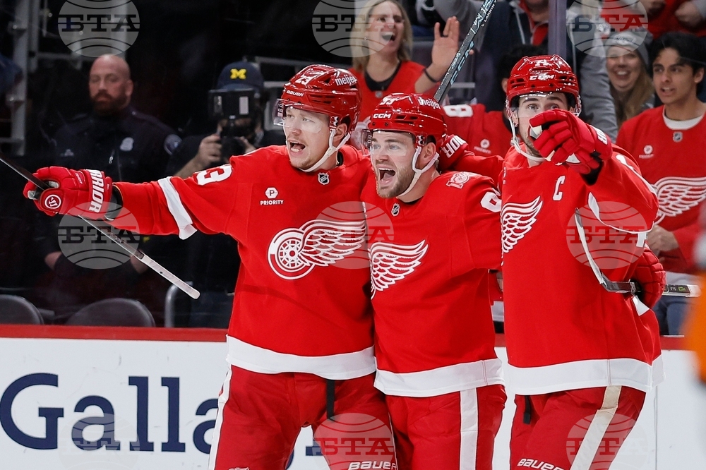 Kings Red Wings Hockey