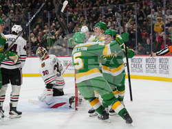 Blackhawks Wild Hockey