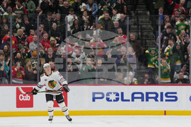 Blackhawks Wild Hockey