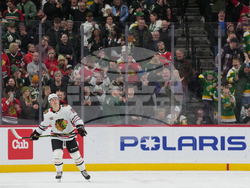 Blackhawks Wild Hockey