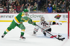 Blackhawks Wild Hockey