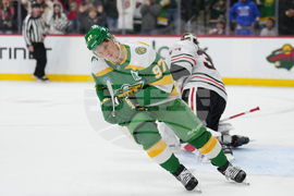 Blackhawks Wild Hockey