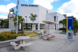 Tampa Bay Rays Stadium What To Know Baseball