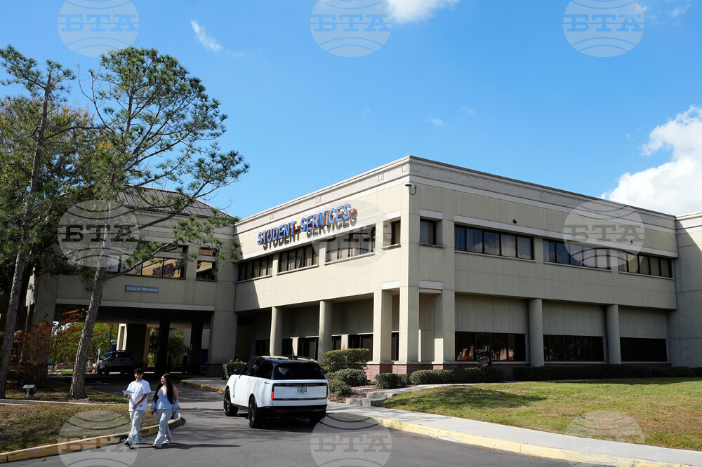 Tampa Bay Rays Stadium What To Know Baseball