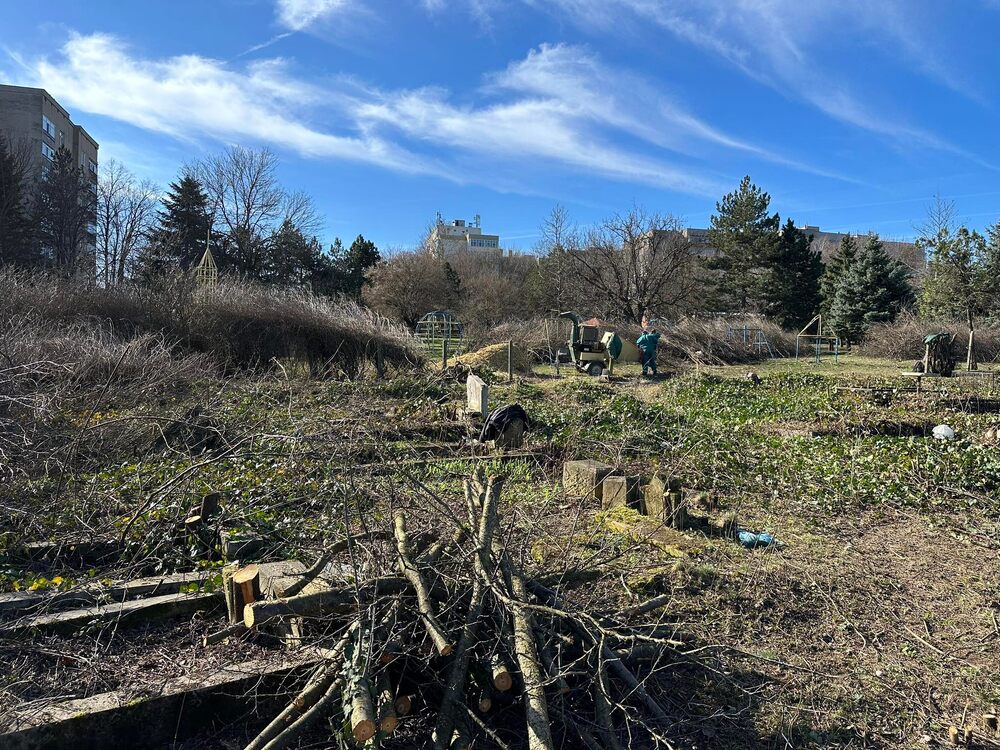 Община Разград: Започна почистването на старите гробища в Доброшката махала 