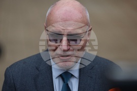 Димитър Радев - изявление