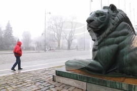 Столица - мъгла - ежедневие